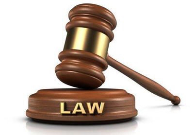 法律咨询 权利保障与决策支持的重要桥梁